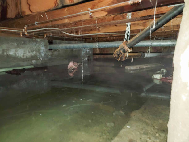 Best 24/7 water damage repair  in Garland, NC