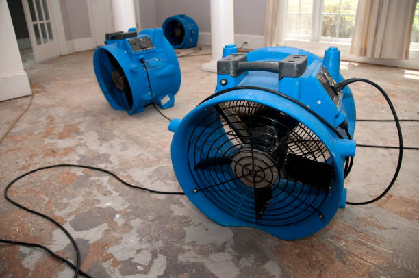 Best Professional water damage repair  in Garland, NC