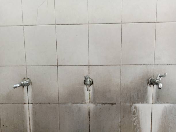 Best Professional water damage repair  in Garland, NC