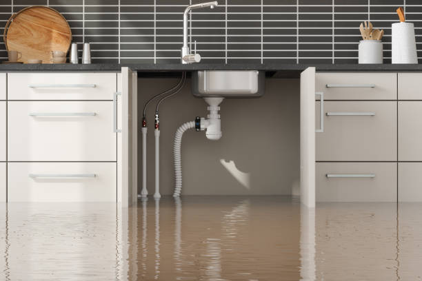 Best Residential water damage restoration  in Garland, NC