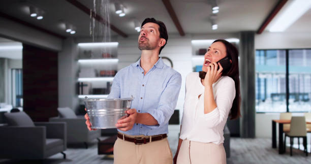 Best Mold removal after water damage  in Garland, NC